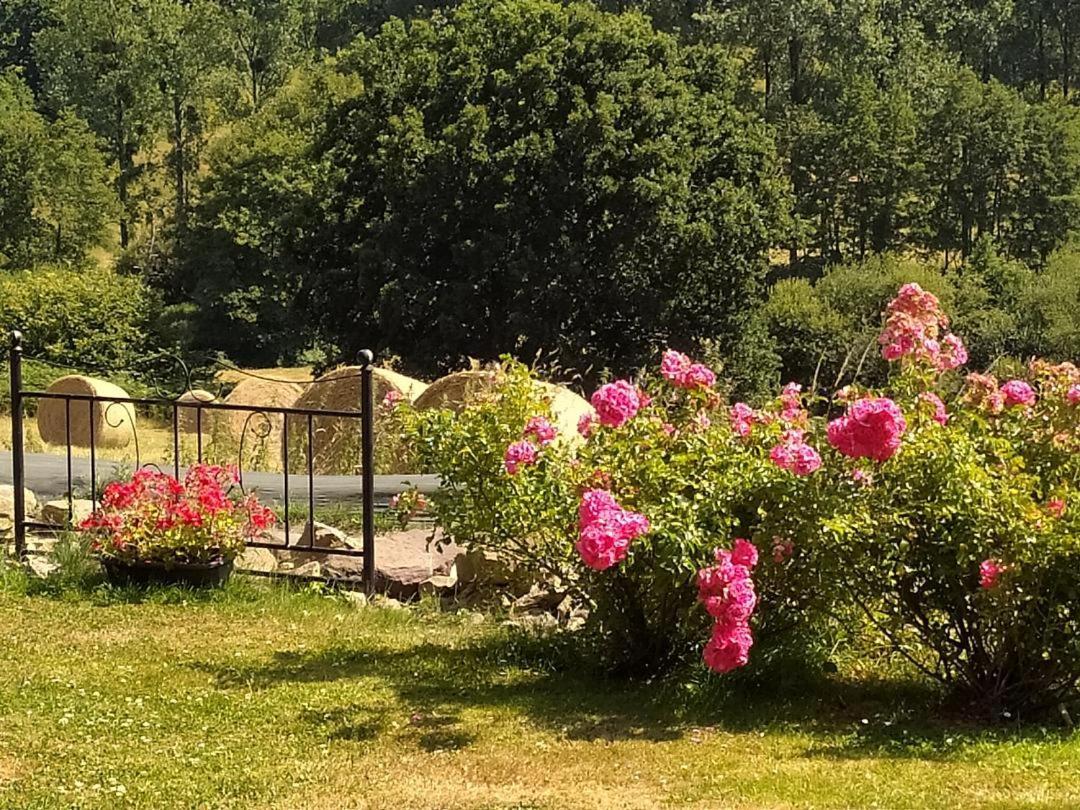 Chambres D'Hotes La Clef Des Champs Montpinchon Εξωτερικό φωτογραφία